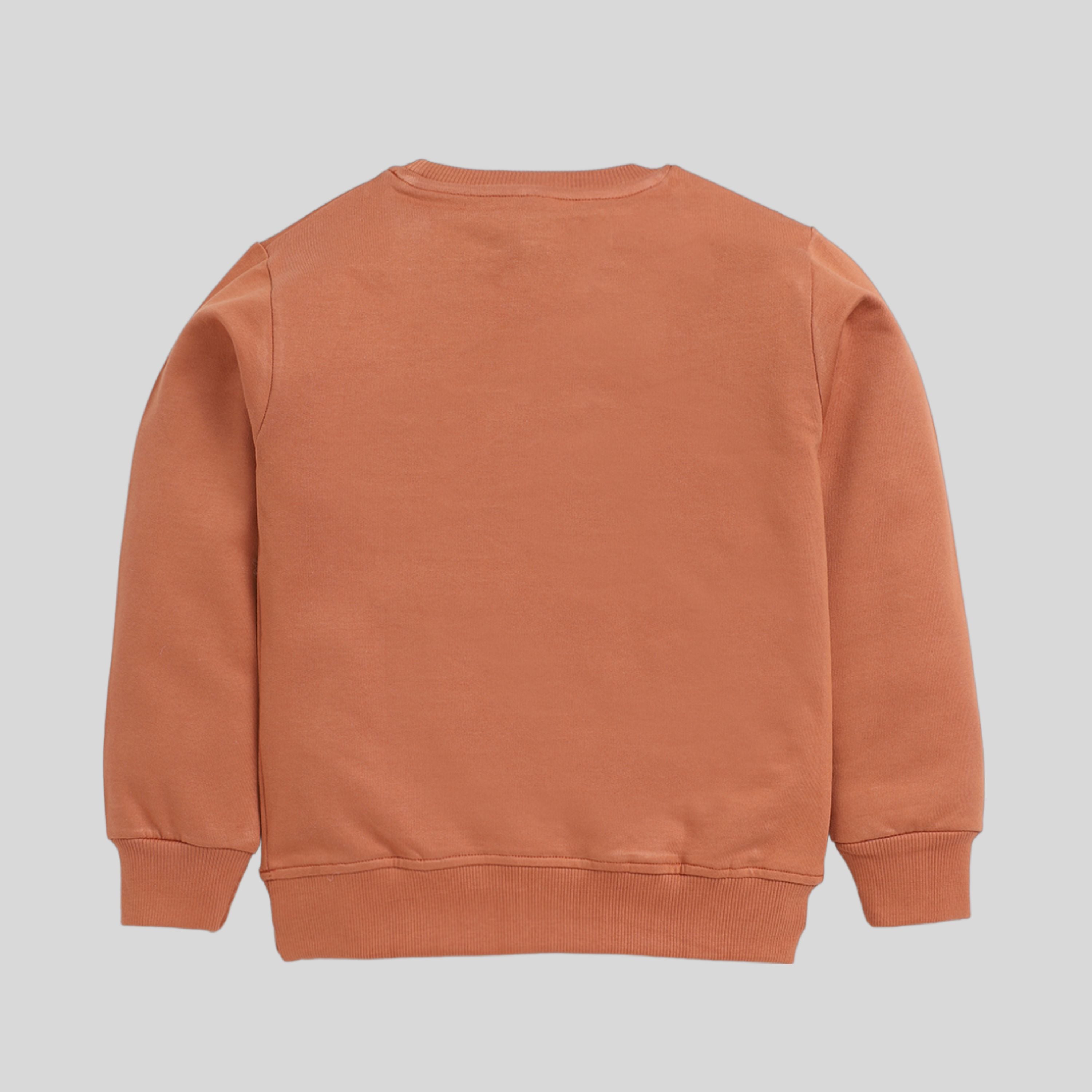Printed Sweatshirt For Boy- Brown
